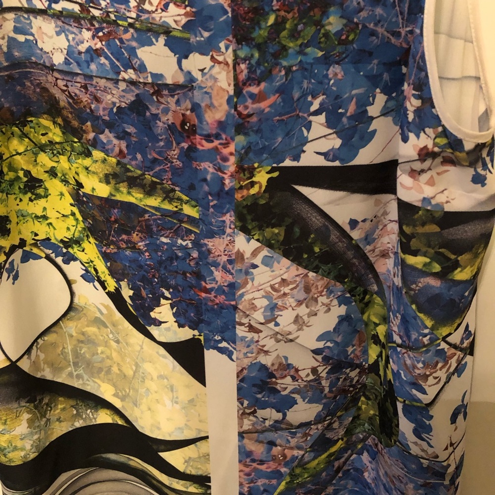 Clover Canyon Print Tank - Picture 6 of 8